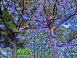 CIMG0656